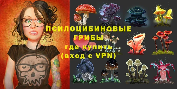 прущая мука Вязники