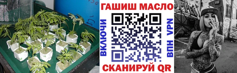 сайты даркнета какой сайт  Пестово  ТГК концентрат  hydra сайт 